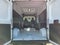 2025 RAM ProMaster 3500 Cargo Van Tradesman High Roof 159' WB w/Pass Seat